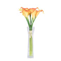 Orange Calla Lily A3132