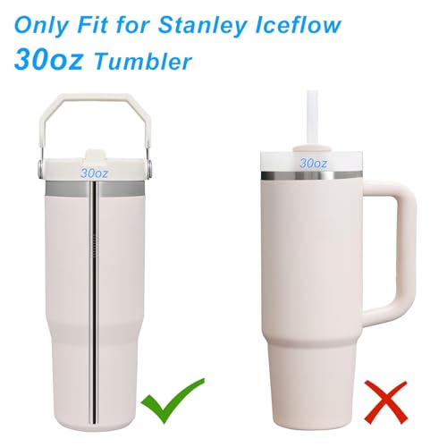6 Pack Stainless Steel Straws with 2 Straw Cleaner Brushes D778