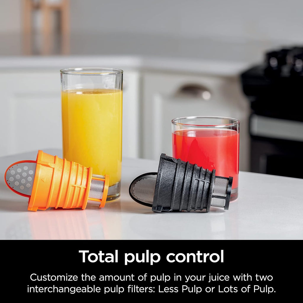 Charcoal Cold Press Juicer I541