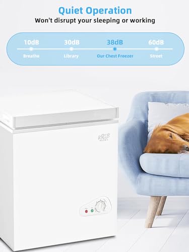 White 3.5 Cu.Ft Compact Chest Freezer T713019