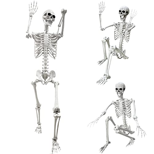 5.4Ft Halloween Life Size Human Skeleton with Movable Joints N86289