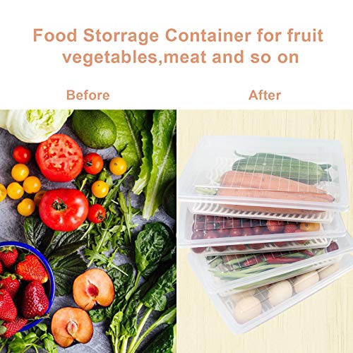 Plastic Food Storage Containers with Removable Drain Plate and Lid, Stackable (4, Large) Q22483