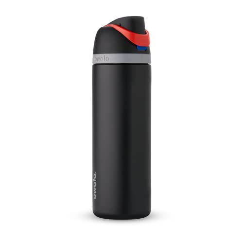 24 oz Insulated Stainless Steel Water Bottle with Straw D730