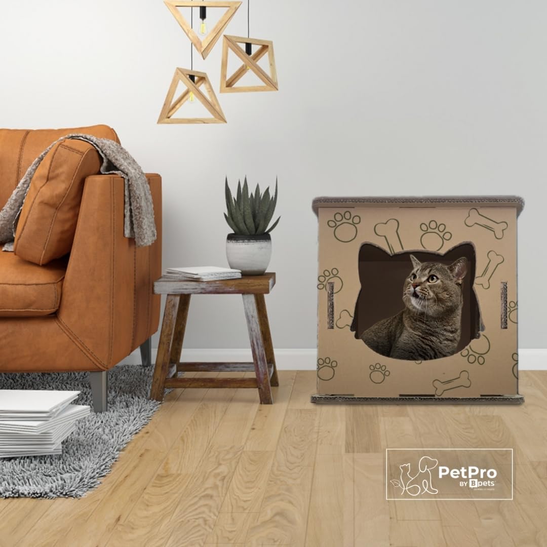 Corrugated Cardboard Cat Scratcher House Y31830