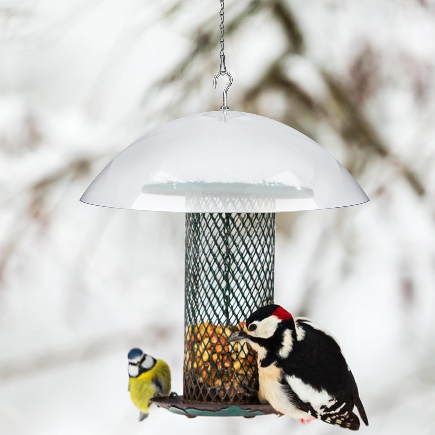 2 Pcs Clear Squirrel Baffle Bird Feeder Protective Dome with Chains N549689