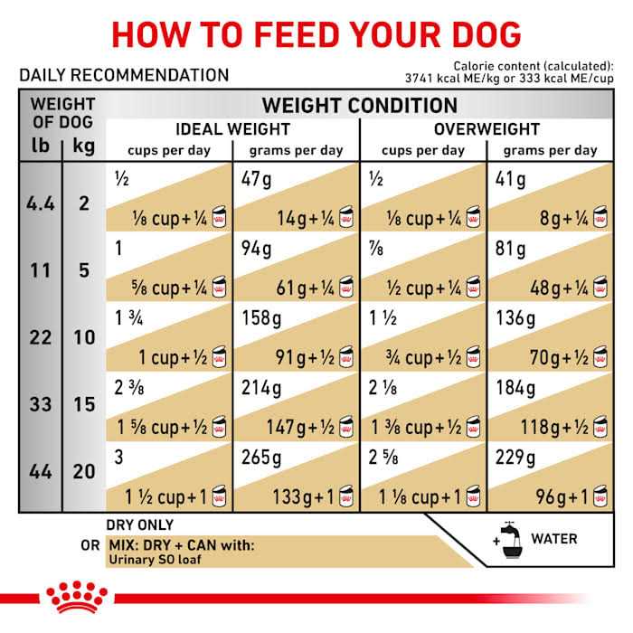 Veterinary Diet Canine Urinary SO Dry Dog Food P658507