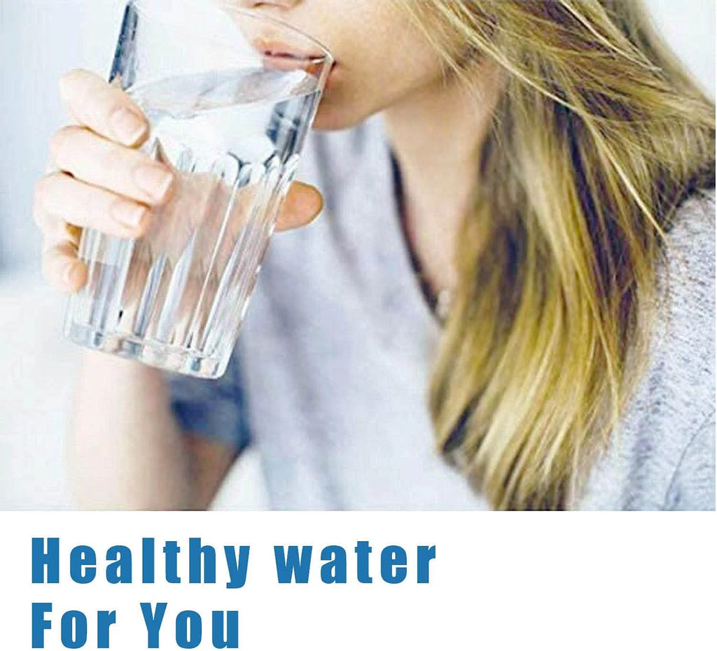 2 Pcs Refrigerator Water Filter S938