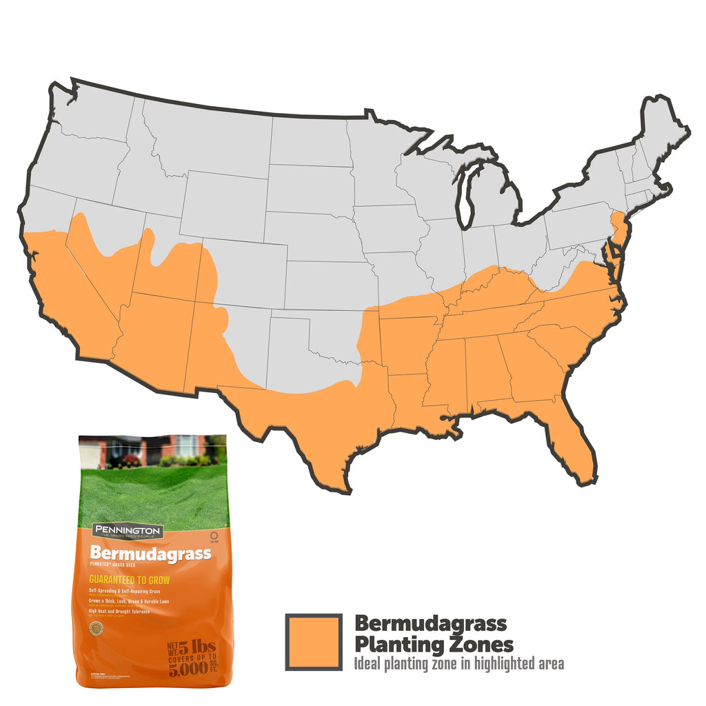 Sahara Bermudagrass Grass Seed, 5 lb. I60844