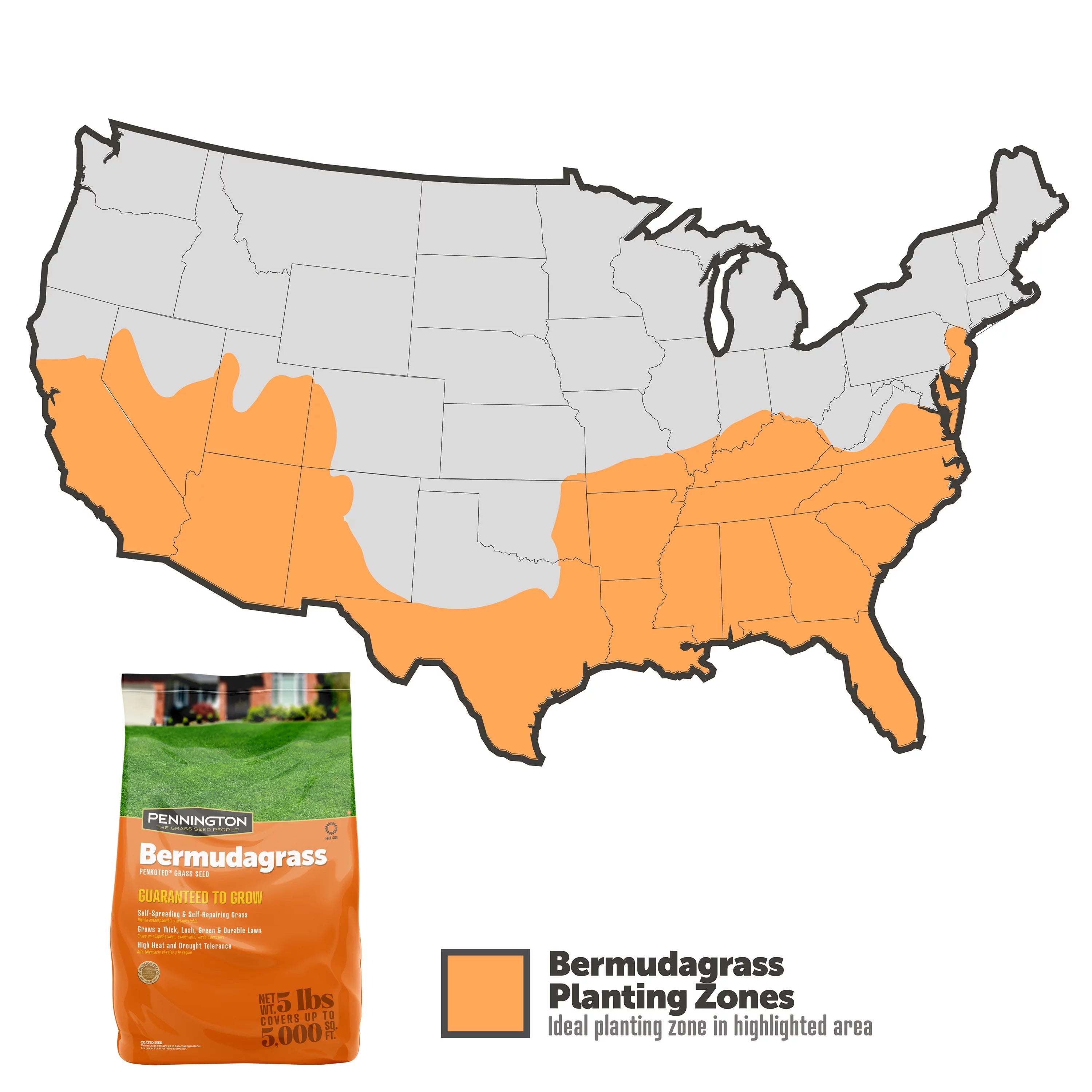 Sahara Bermudagrass Grass Seed, 5 lb. I60844