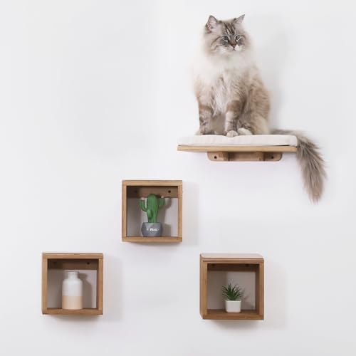 Set of 4 Cat Wall Shelves and Bed X9923