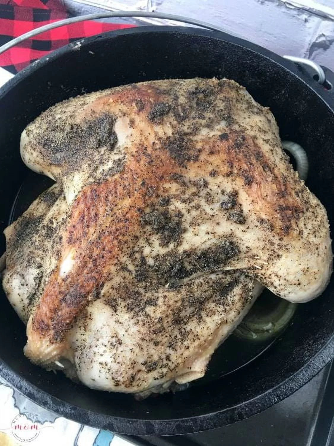 Cast Iron 5 Quart Seasoned Dutch Oven with Bail Handle F182160