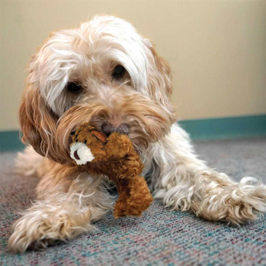 Teddy Bear Dog Toy U605
