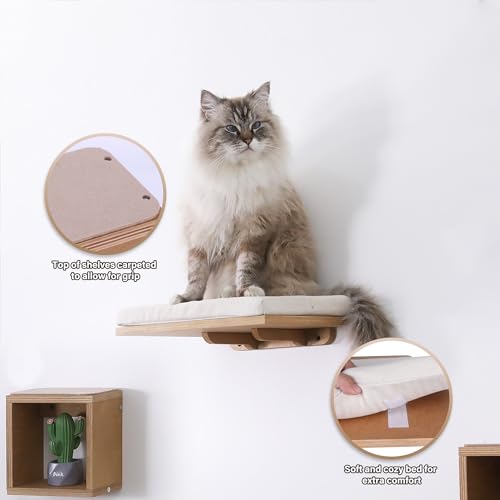 Set of 4 Cat Wall Shelves and Bed X9923
