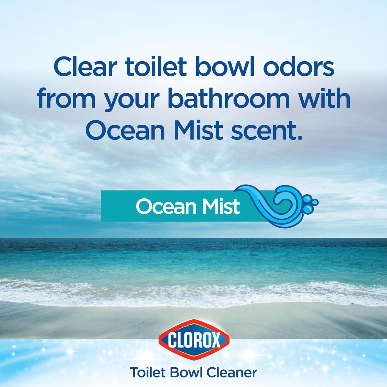 24 Ounces Pack of 2 Toilet Bowl Cleaner C4204