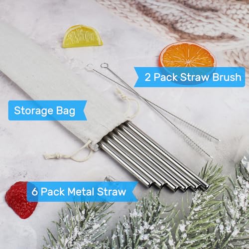 6 Pack Stainless Steel Straws with 2 Straw Cleaner Brushes D778