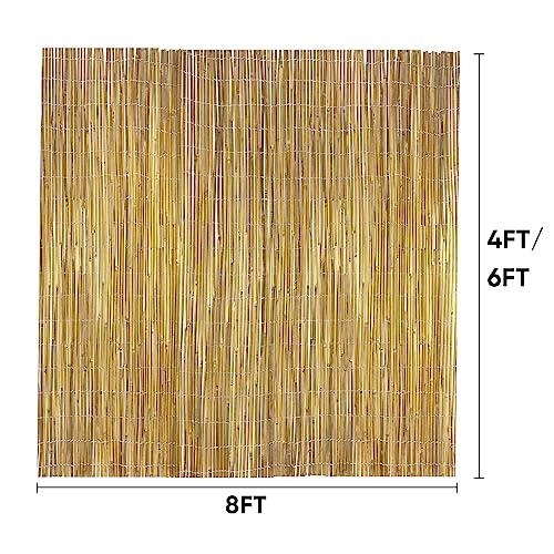6ft x 8ft x 0.4" Natural Bamboo Fence Rolled Bamboo Fencing S211