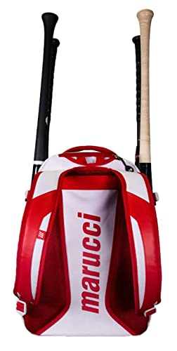 Dynamo Bat Pack D185648