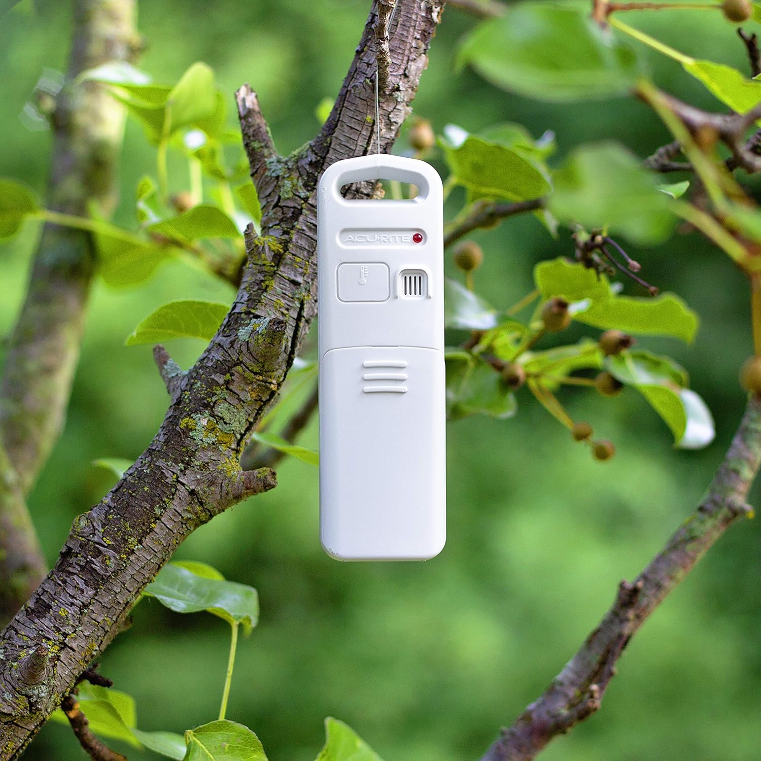 Color Weather Station with Temperature, Humidity and Forecast S645618