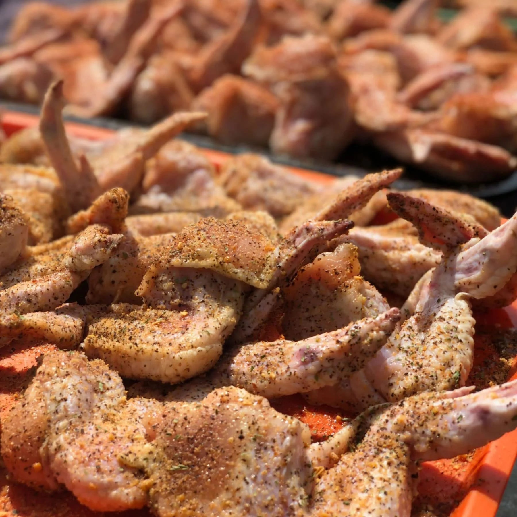 11 oz BBQ Seasoning Z329300