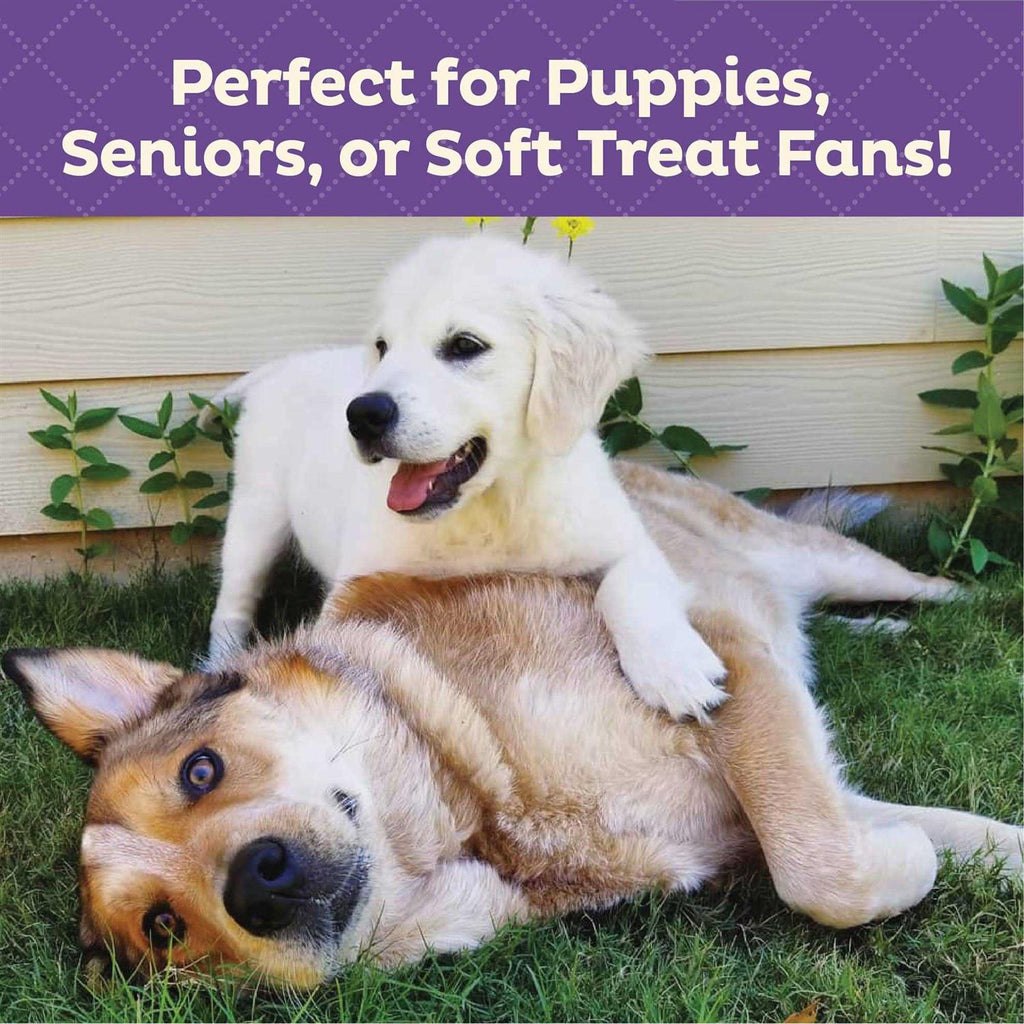 Soft & Tasty Peanut Butter & Bacon Biscuits Baked Dog Treats Mini L28981