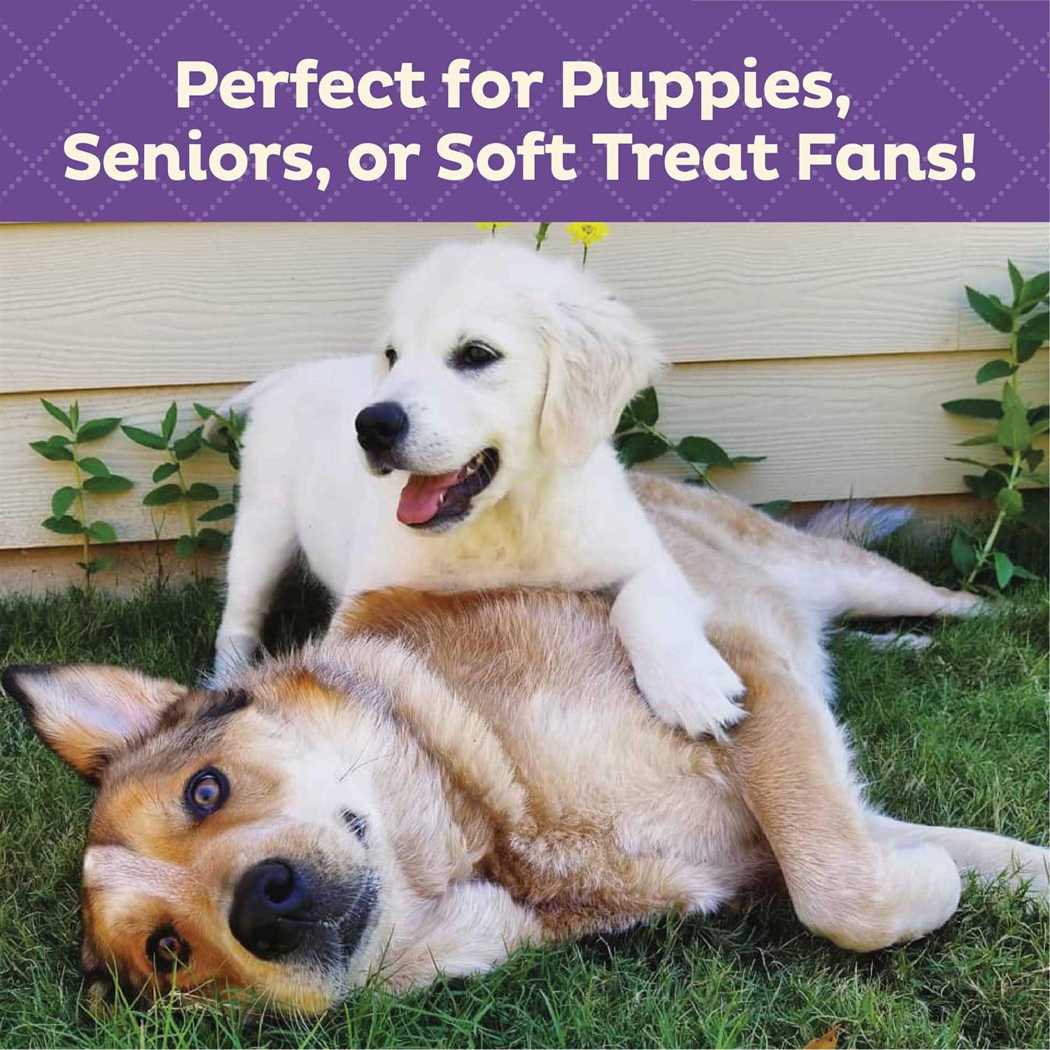 Soft & Tasty Peanut Butter & Bacon Biscuits Baked Dog Treats Mini L28981
