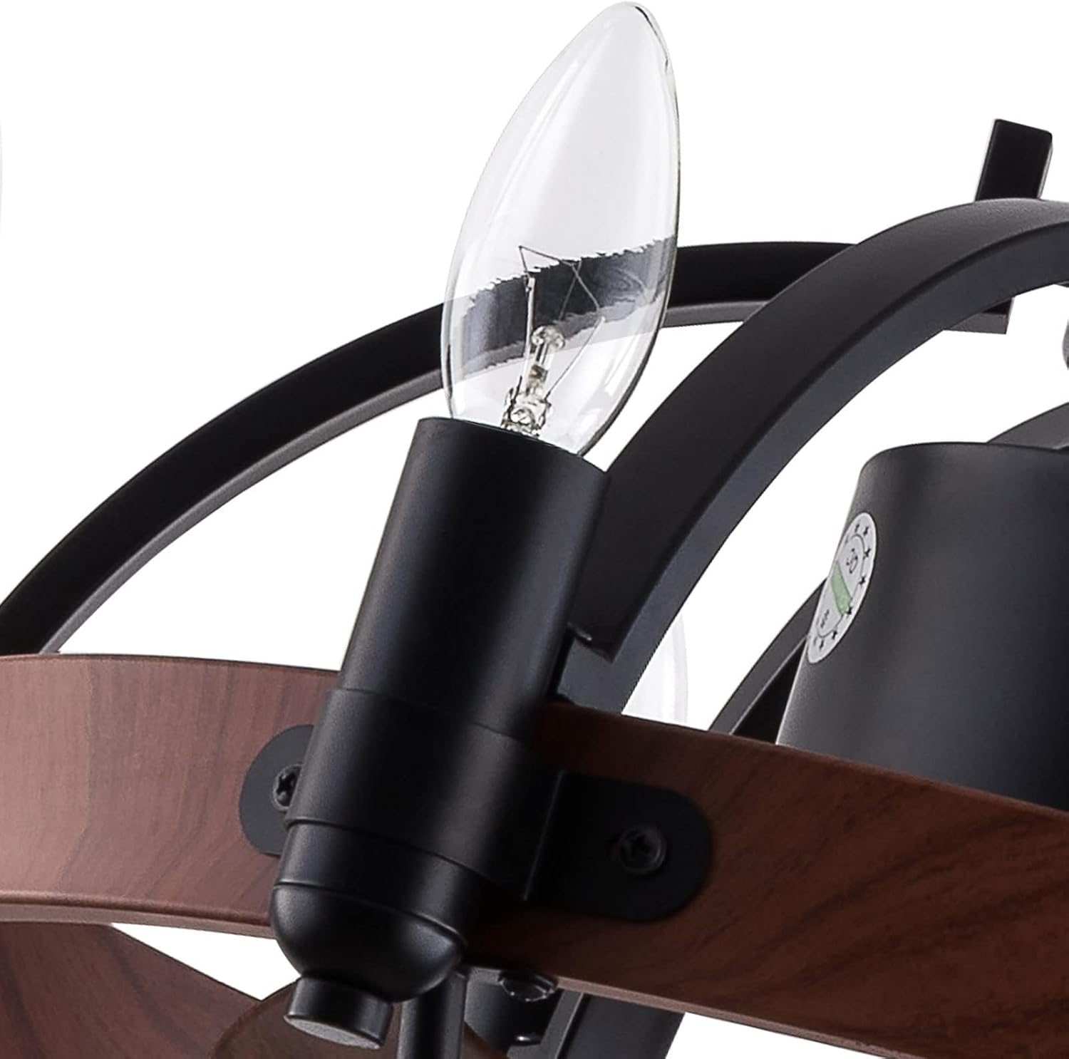 Black Cage Ceiling Fan with Light Remote Control P498
