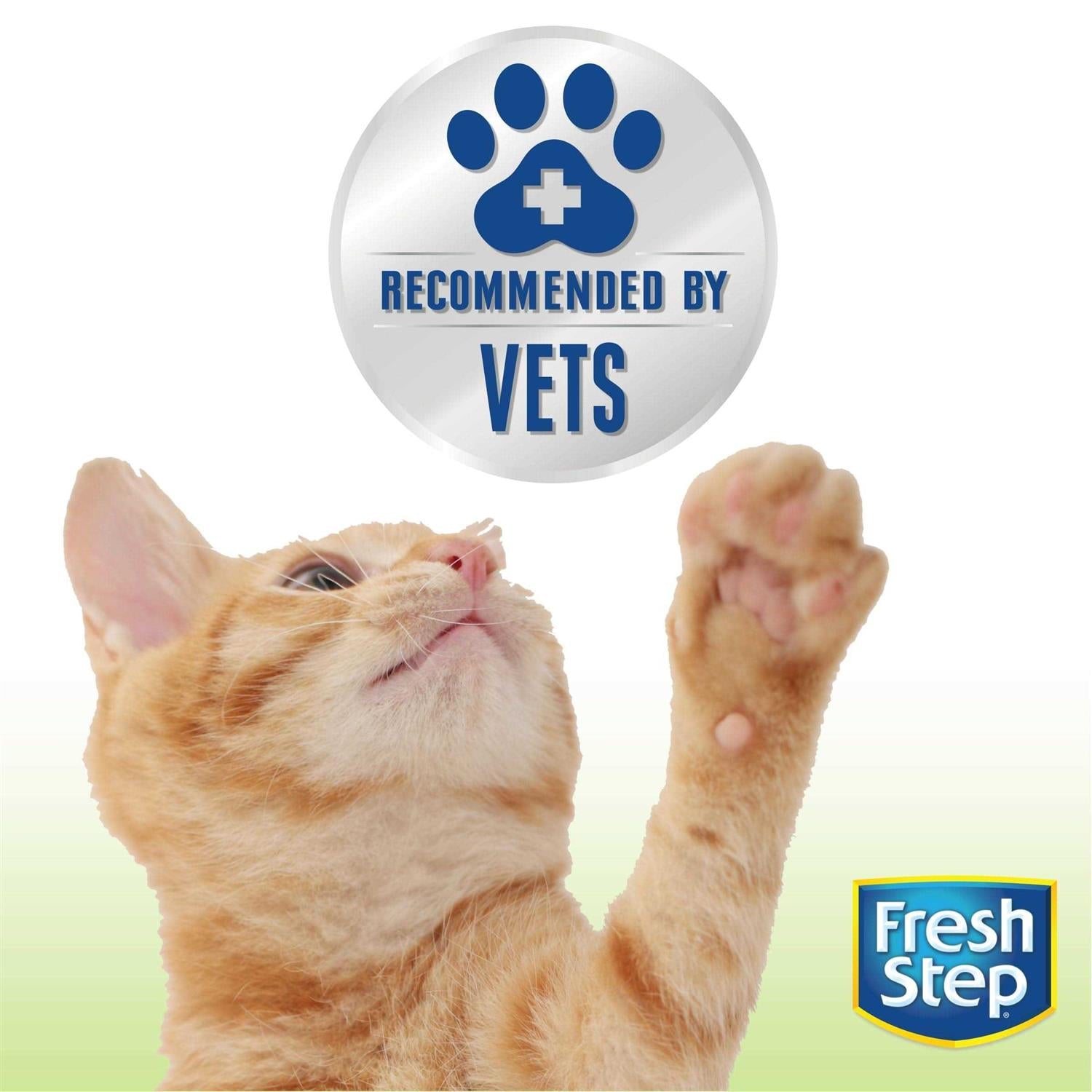 Unscented Clumping Cat Litter Q995513