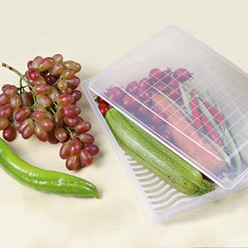 Plastic Food Storage Containers with Removable Drain Plate and Lid, Stackable (4, Large) Q22483