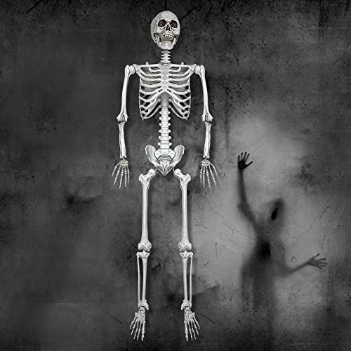 5.4Ft Halloween Life Size Human Skeleton with Movable Joints N86289