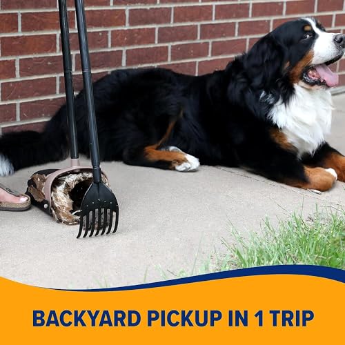 Swivel Bin & Rake Dog Poop Scooper with 20 Count Poop Bags X8676