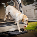 Pet Ramp C2176