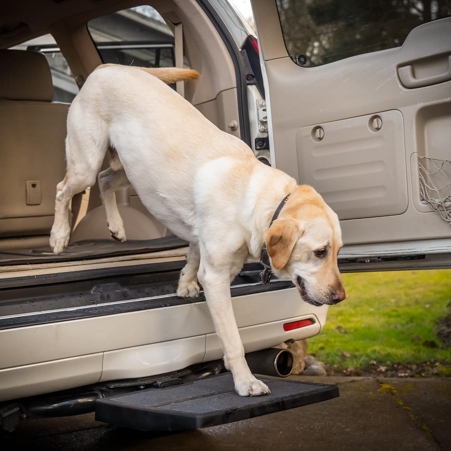 Pet Ramp C2176