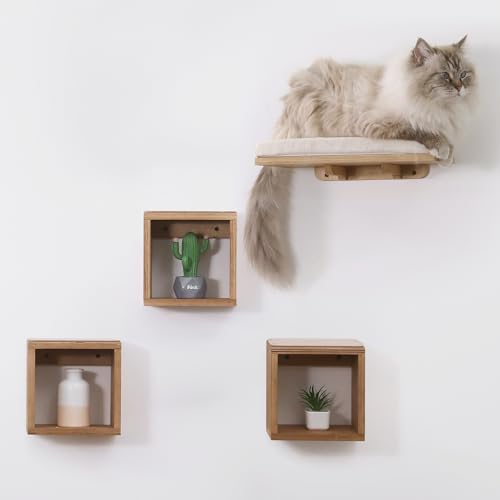 Set of 4 Cat Wall Shelves and Bed X9923