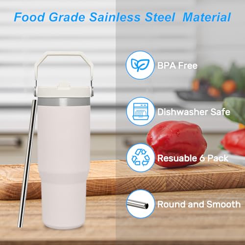 6 Pack Stainless Steel Straws with 2 Straw Cleaner Brushes D778