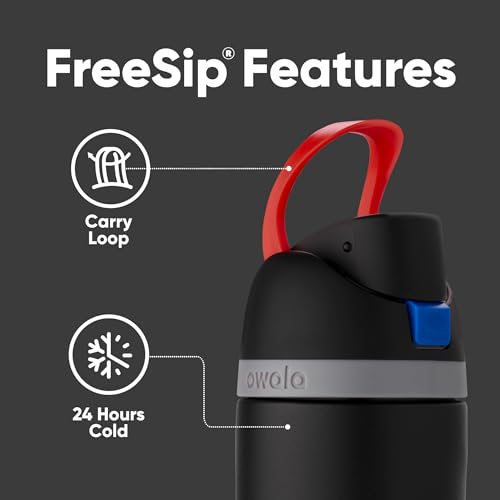 24 oz Insulated Stainless Steel Water Bottle with Straw D730