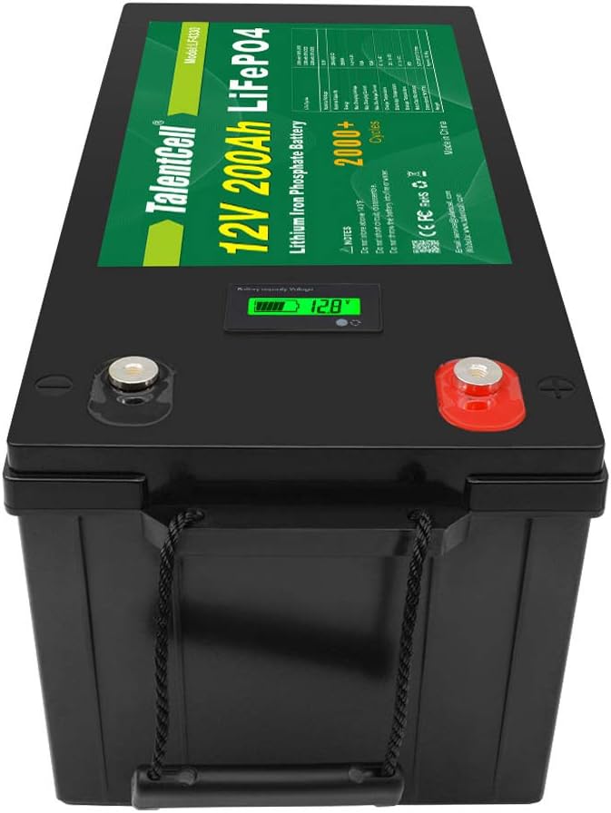 12V 200Ah Lithium Iron Phosphate Deep Cycle Battery Pack D83351