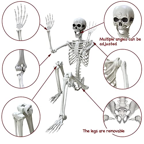 5.4Ft Halloween Life Size Human Skeleton with Movable Joints N86289
