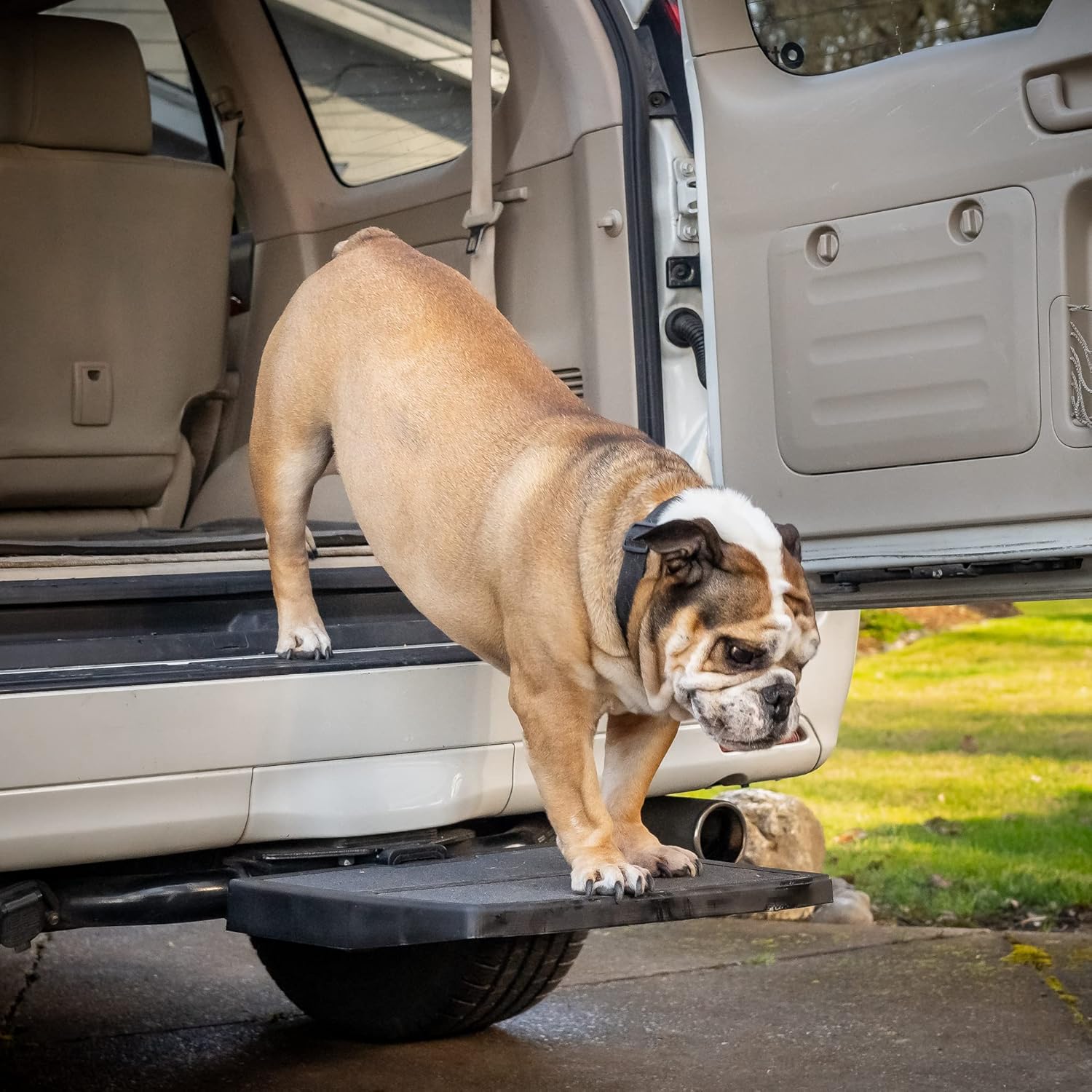 Pet Ramp C2176