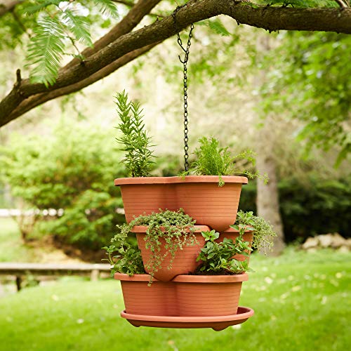 5 Tier Stackable Planter with Starter Pots Q65995
