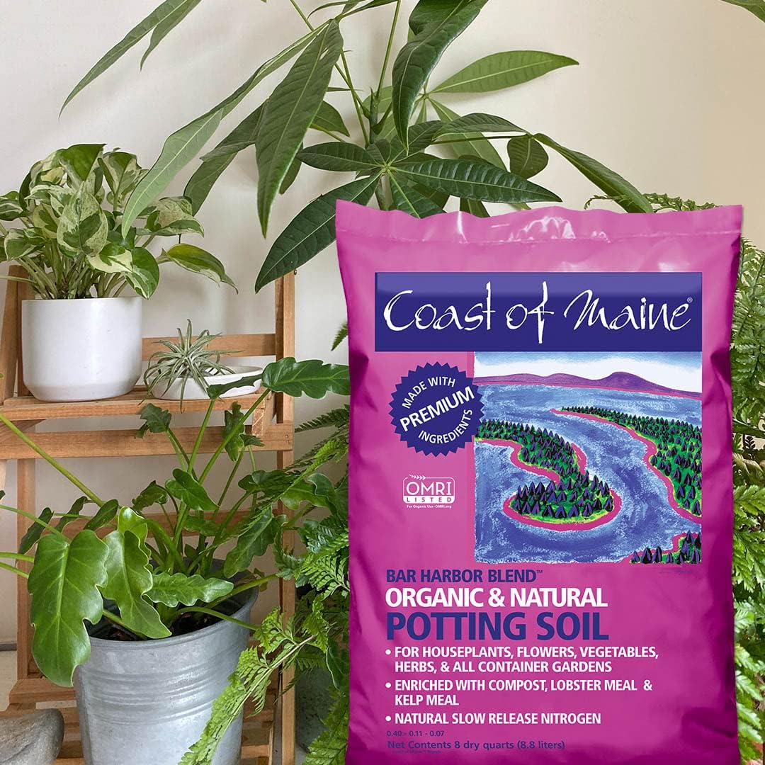 8qt Organic Natural Potting Soil T7459