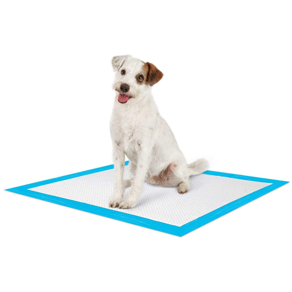 Large Leak Guard Quilted Potty Pads H383575
