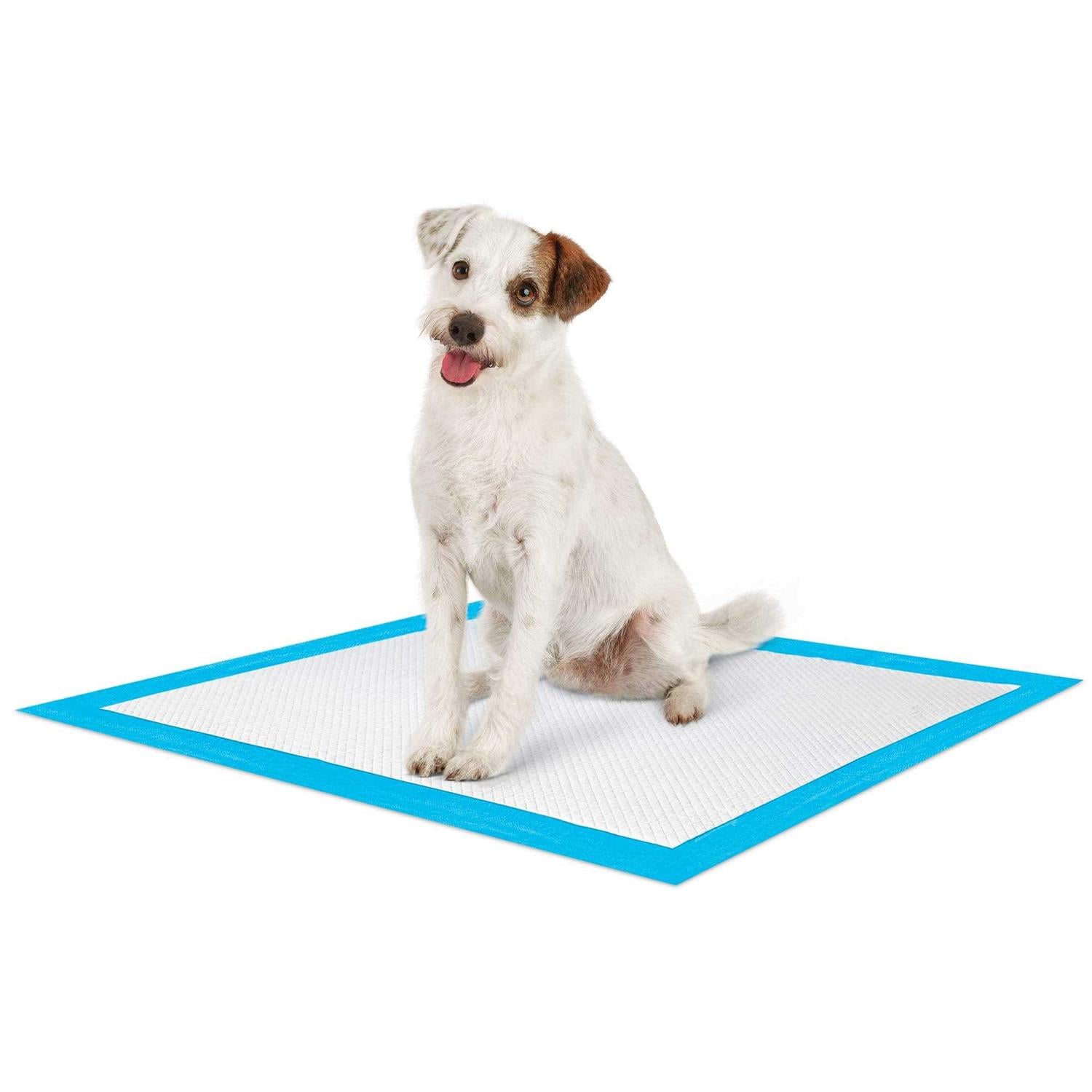 Large Leak Guard Quilted Potty Pads H383575