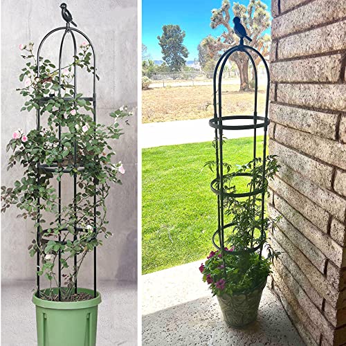 Rustproof Metal 6ft Garden Trellis for Climbing Plants J71628