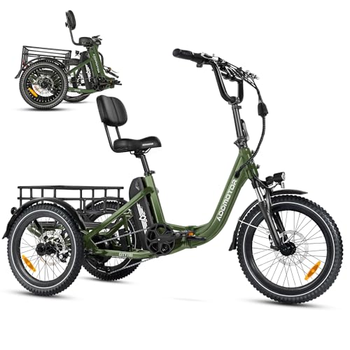 750W Folding Electric Tricycle with 960Wh Battery U793