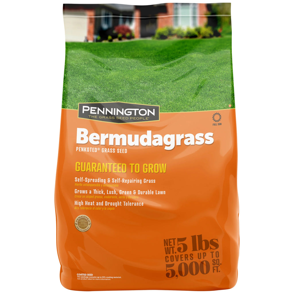Sahara Bermudagrass Grass Seed, 5 lb. I60844