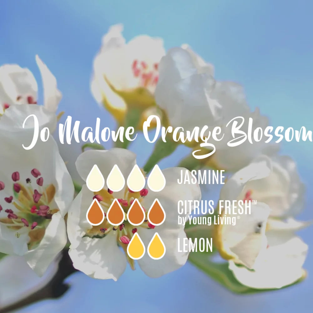 Orange Blossom Diffuser 5.6 oz L4181